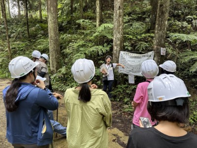 企業員工實際進入作業林場認識林業生產循環(1) （林業保育署新竹分署）